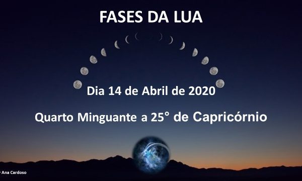 14 ABRIL 2020