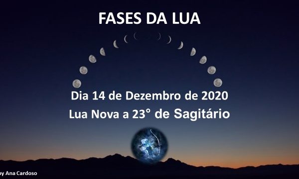 14 DEZEMBRO 2020